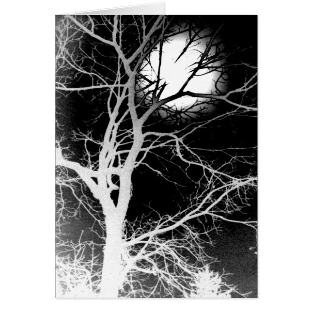 Cartão Luz (Frente)