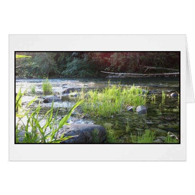Cartão Luz da manhã no rio Cowichan (Frente Horizontal)