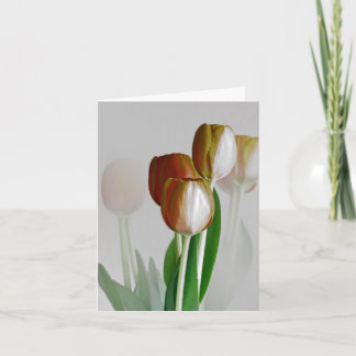 Cartão Luz do inverno