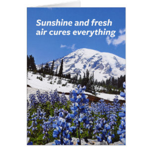 Cartão Luz do sol e ar fresco