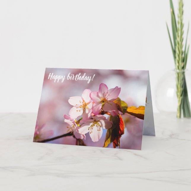 Cartão Luz Do Sol E Sombra Nas Pétalas De Sakura (Frente)