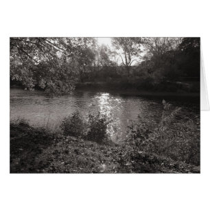 Cartão Luz do sol sobre os Taff, Bute Park, Cardiff