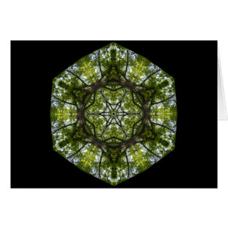 Cartão Luz e teste padrão nas folhas