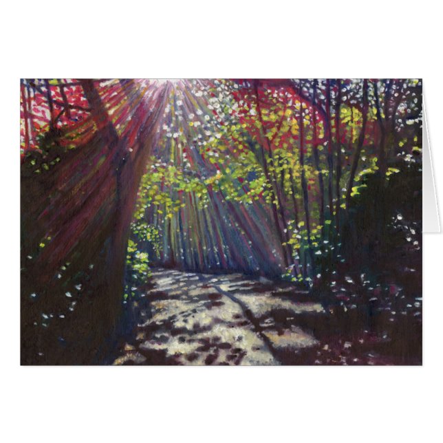 Cartão Luz espalhada 2013 (Frente Horizontal)