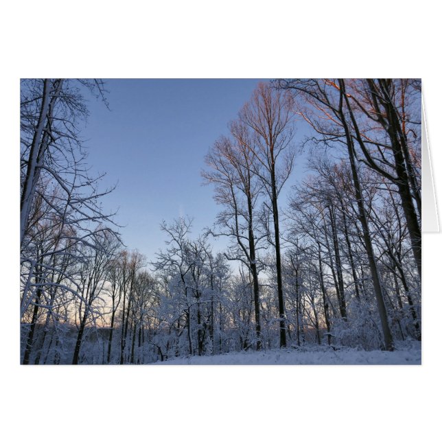 Cartão Luz I da Manhã de inverno (Frente Horizontal)