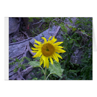 Cartão Luz na escuridão