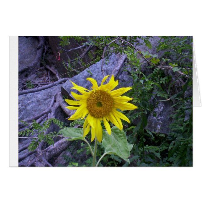 Cartão Luz na escuridão (Frente Horizontal)