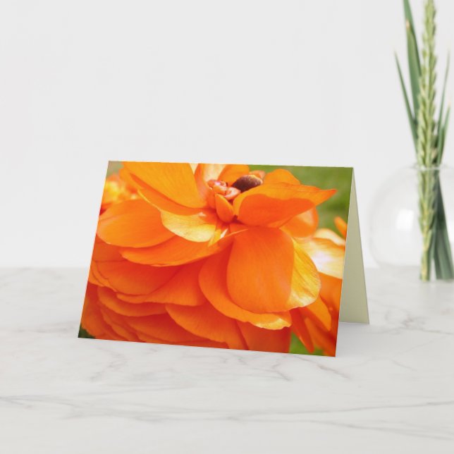 Cartão Luz solar da manhã (Frente)