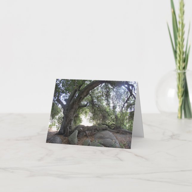 Cartão Luzes do anjo (Frente)