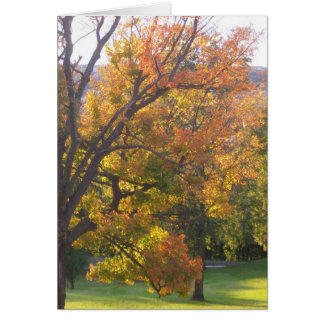 Cartão Maçã de açúcar de outubro