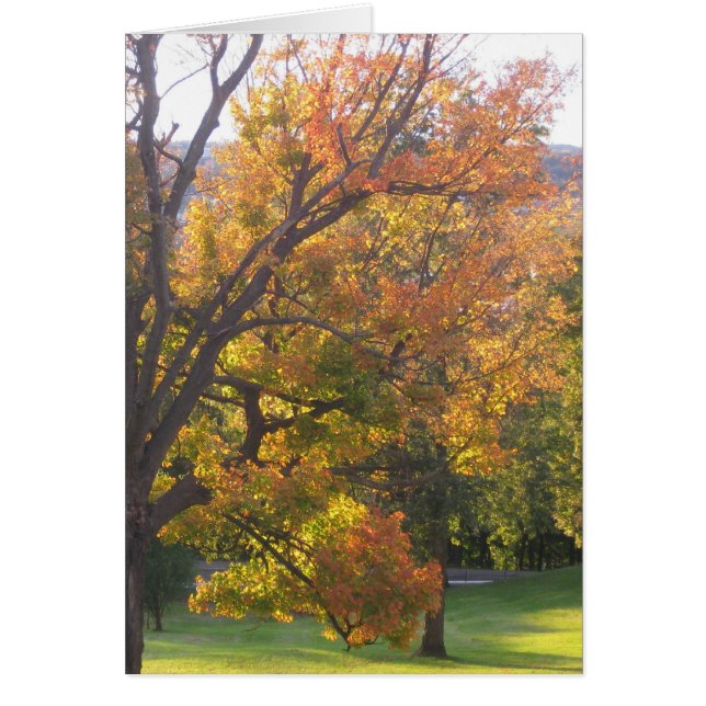 Cartão Maçã de açúcar de outubro (Frente)