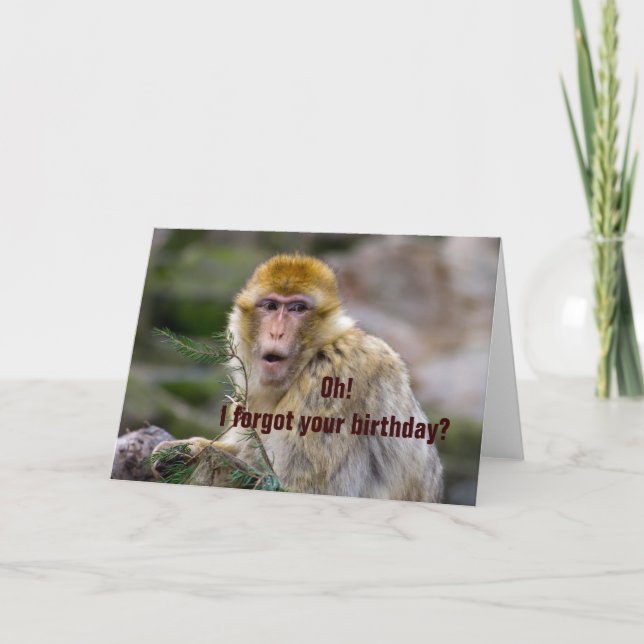 Cartão Macaca sylvanus (Frente)