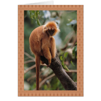 Cartão Macaco