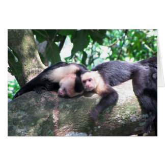 Cartão Macaco Amor