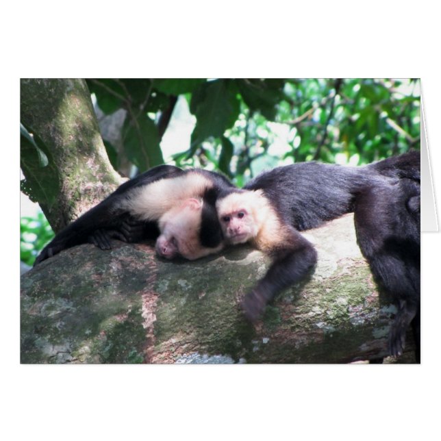 Cartão Macaco Amor (Frente horizontal)