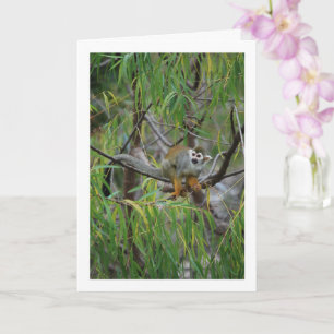 Cartão Macaco-Árvore