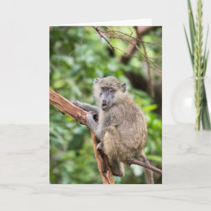 Cartão Macaco-babuíno surpreso ou chocado na árvore