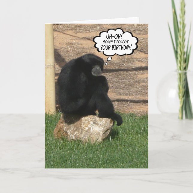 Cartão Macaco de Aniversário Atrasado Humorístico (Frente)