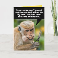 Macaco Engraçado Com Um Abrigo Mau Para Corte De C