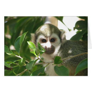 Cartão Macaco-Esquilo
