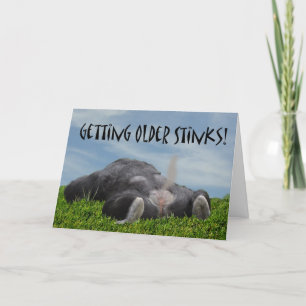 Cartão Macaco mais velho de obtenção cómico engraçado