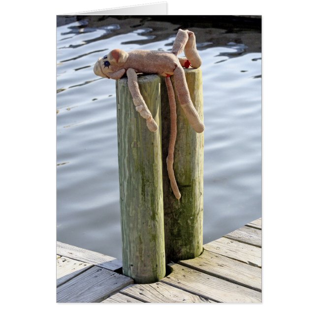 Cartão Macaco-meia3 (Frente)