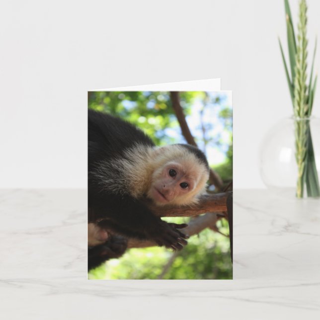 Cartão Macaco Notecard do Capuchin (Frente)