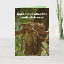 Macaco Que Dorme - Acordar-Me Quando A Pandemia Ac