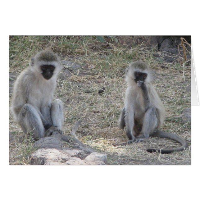 Cartão Macacos Azuis (Frente Horizontal)