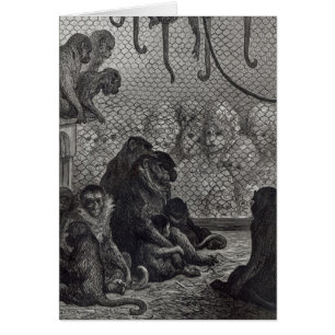 Cartão Macacos de London