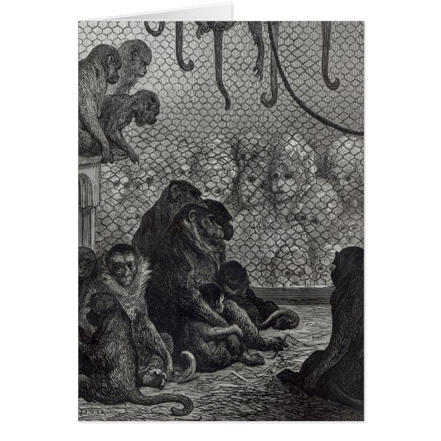 Cartão Macacos de London (Frente)