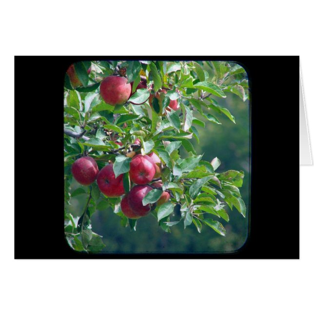 Cartão Maçãs (Frente Horizontal)