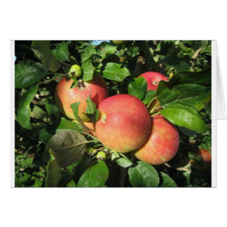 Cartão Maçãs da gala