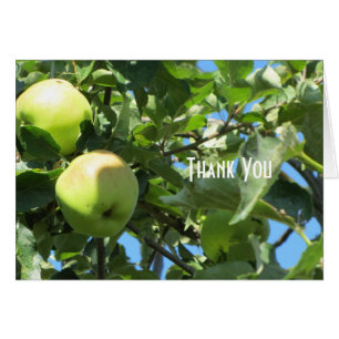 Cartão Maçãs de Verão