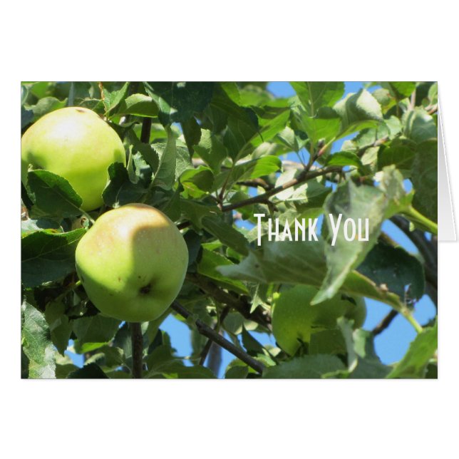 Cartão Maçãs de Verão (Frente horizontal)