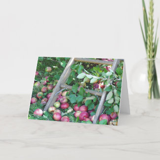 Cartão Maçãs em um dia do outono