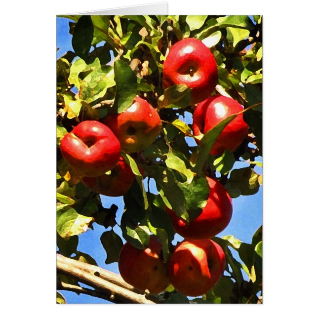 Cartão Maçãs vermelhas (Frente)