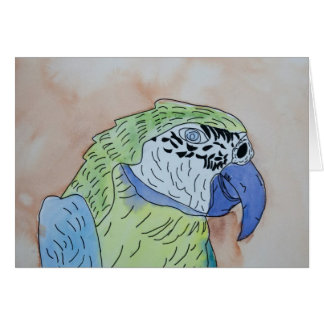 Cartão Macaw