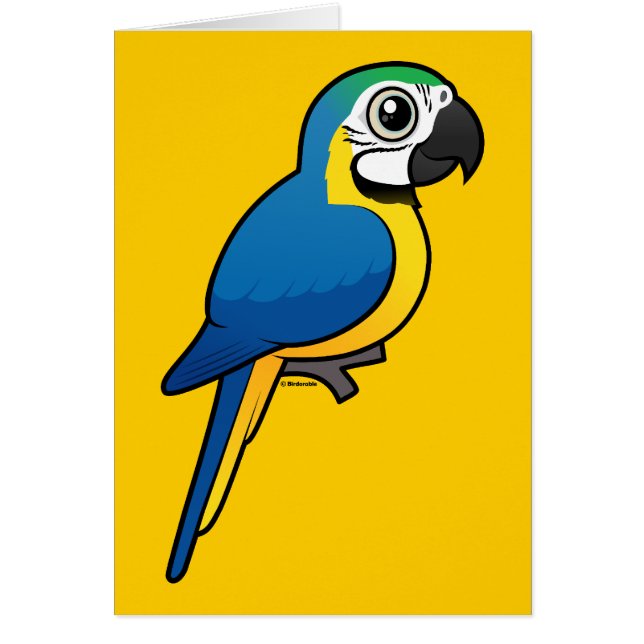 Cartão Macaw Azul-e-amarelo (Frente)