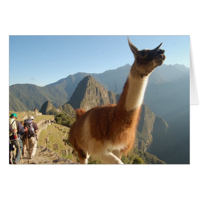 Cartão Macchu Picchu (Frente Horizontal)