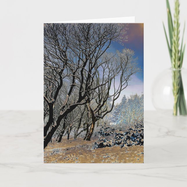 Cartão Macclesfield Forest (Frente)