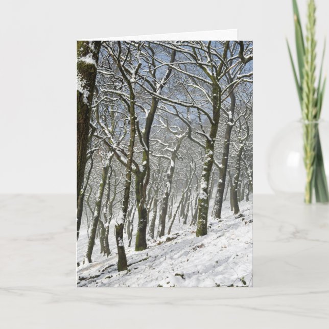 Cartão Macclesfield Forest (Frente)