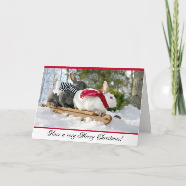 Cartão macio do coelho do Feliz Natal (Frente)