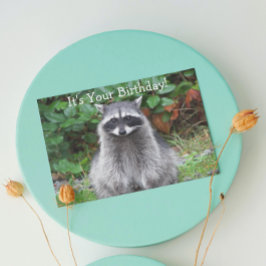 Cartão Maconha Fofo de Raccoon de Aniversário Divertido d