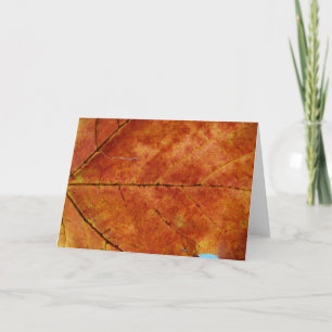 Cartão Macro Autumn Leaf Photo