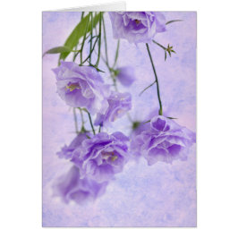 Cartão Macro Card Flores de Campanela Roxa