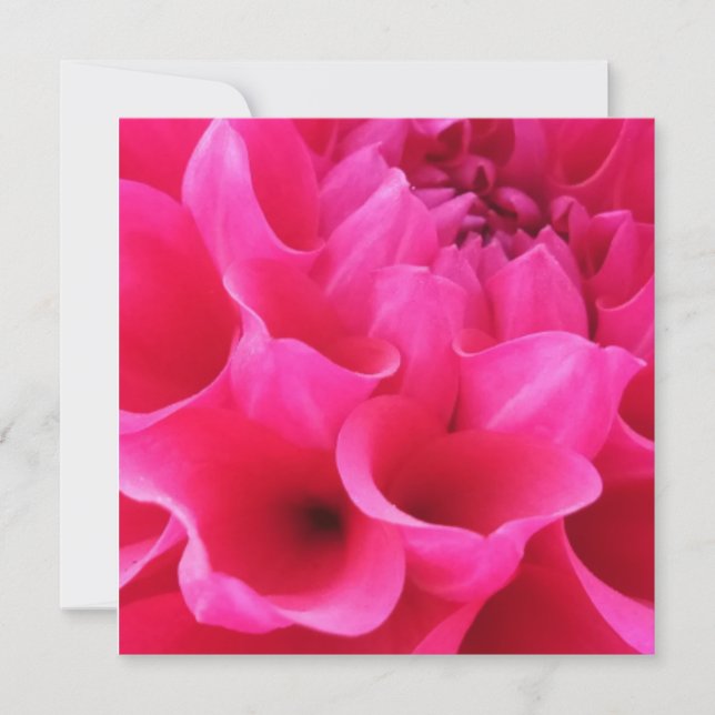 Cartão Macro Close Delilah Flower (Frente)