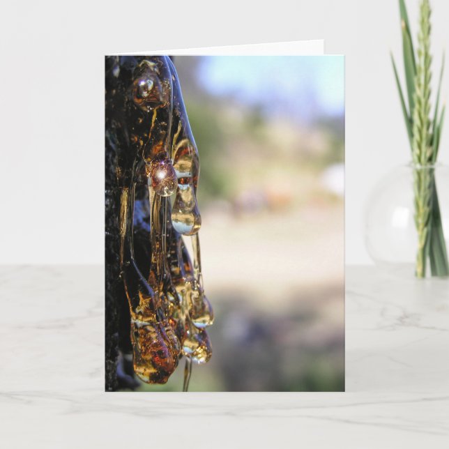 Cartão Macro: Placa de Ouros Líquidos Sap de Árvore (Frente)