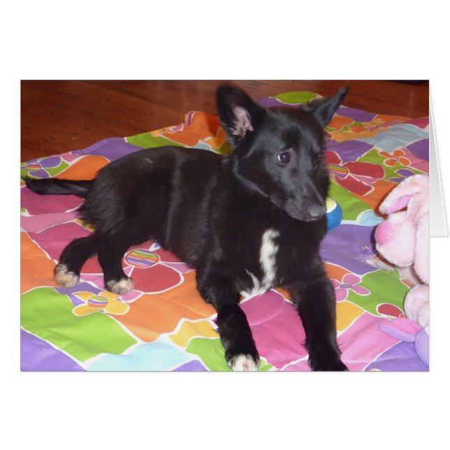 Cartão Macy (Frente Horizontal)