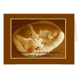 Cartão "Macy with Lamb Chop" 5 x 7 com envelope